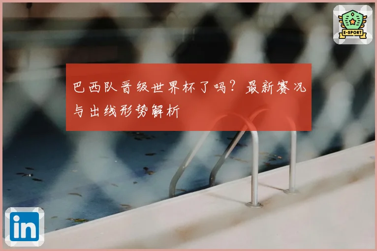 巴西队晋级世界杯了吗?最新赛况与出线形势解析
