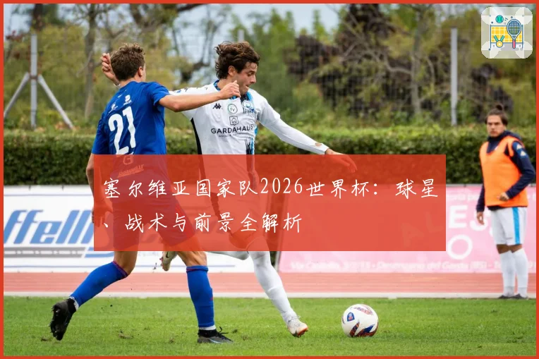 塞尔维亚国家队2026世界杯：球星、战术与前景全解析