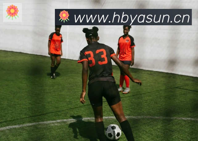 hth华体网页版登录入口发展历程