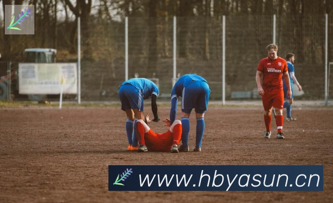 App Interface Preview