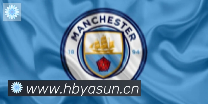 hth华体网页版登录入口合作伙伴